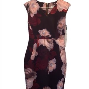 Calvin Klein women’s size 6 dress. Beautiful floral design.